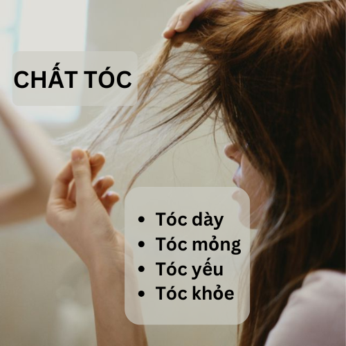 dưỡi tóc tự nhiên 